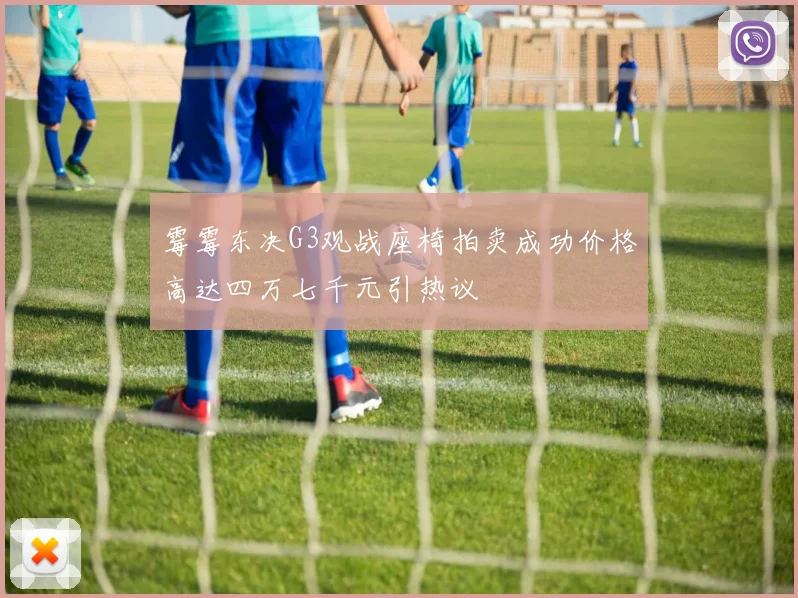 霉霉东决G3观战座椅拍卖成功价格高达四万七千元引热议