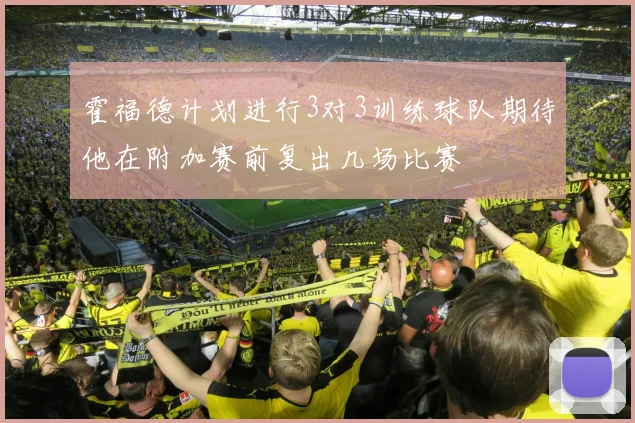 霍福德计划进行3对3训练球队期待他在附加赛前复出几场比赛